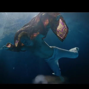 Meet your Posher, Max